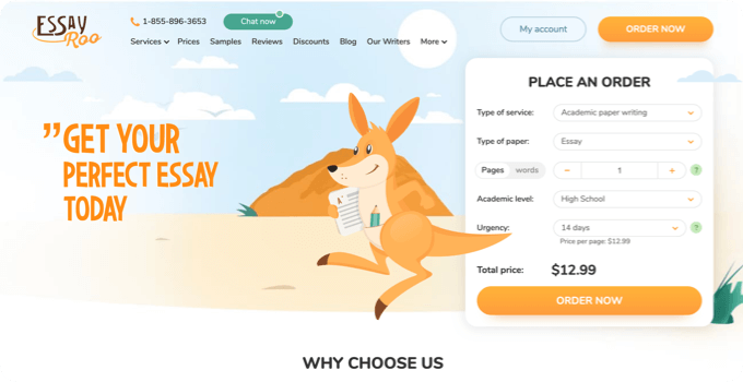 Essayroo.com Review