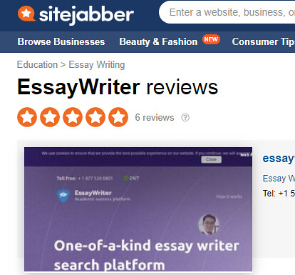 reputation of essaywriter.org
