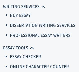 essayusa.com services