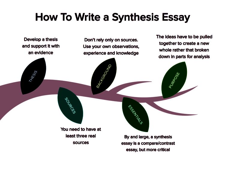 synthesis essay thesis statement