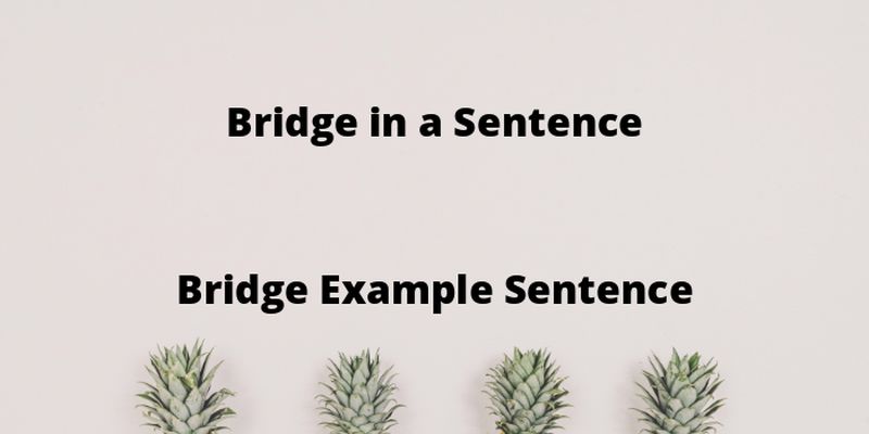 bridge sentence